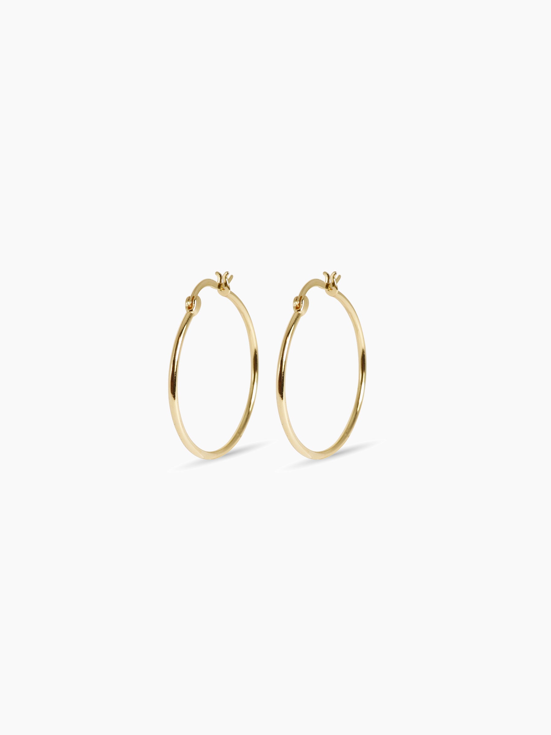 The Essential Hoop