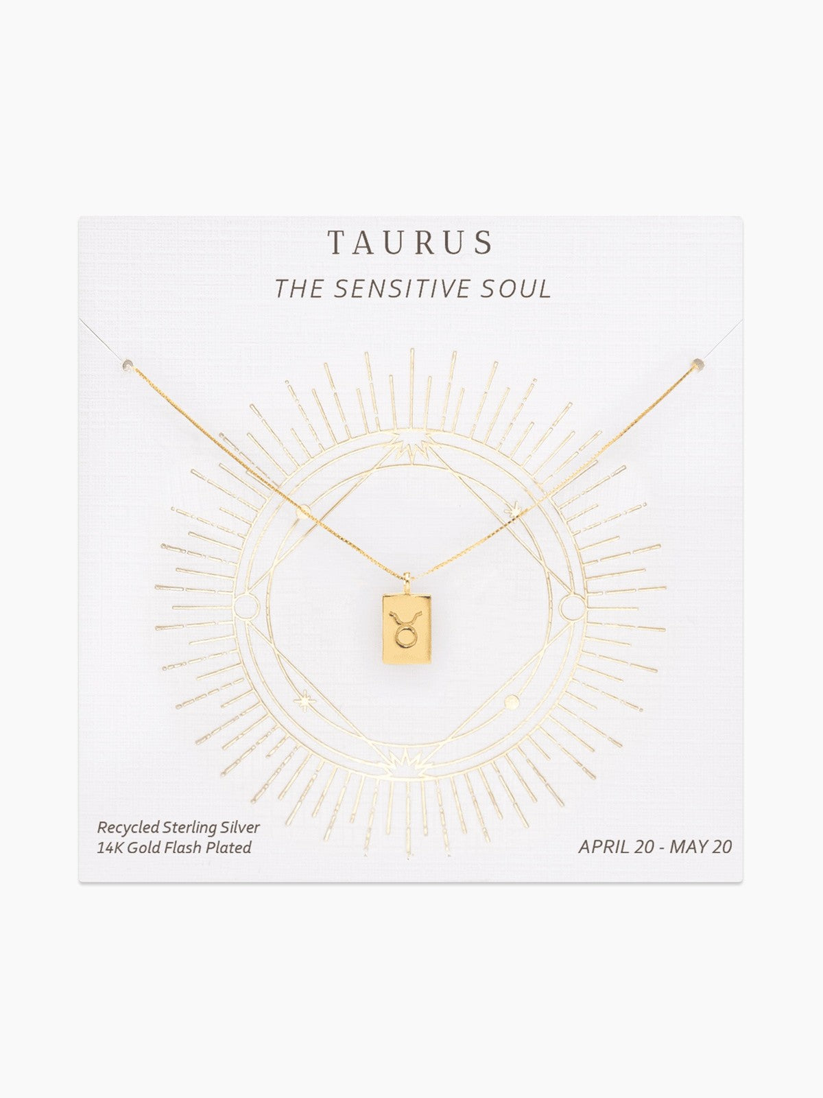 Zodiac Tag Necklace